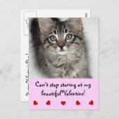 Het staren Valentijn Kitten Briefkaart (Voorkant / Achterkant)