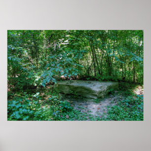 Het stenen bed poster