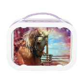 Het sterrenpaard lunchbox (Voorkant)