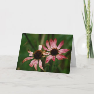 Het sterven het Wenskaart van Bloemen Kaart