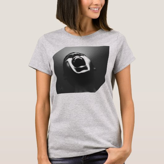 Het Stolen Scream T-shirt (Voorkant)