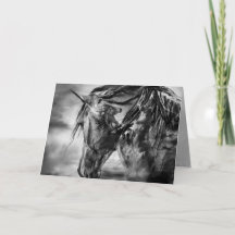 "Het Storm binnen" - Wenskaart