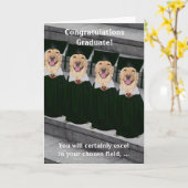 Het Strafrecht van afstuderen Kaart (Gele Bloem)