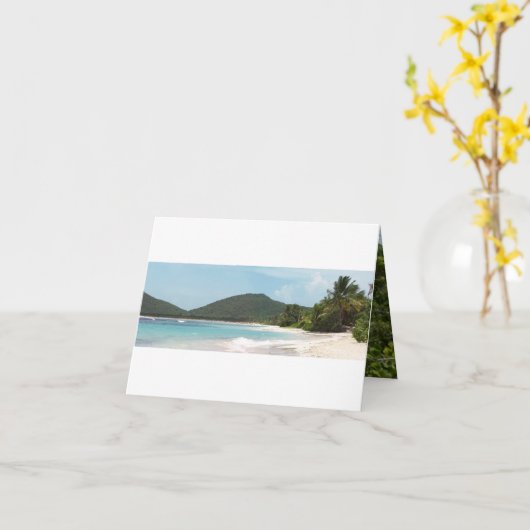 Het Strand Puerto Rico van het Flamenco van Kaart (Gele Bloem)