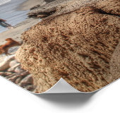 Het strand van de Cliffs " Poster (Hoek)