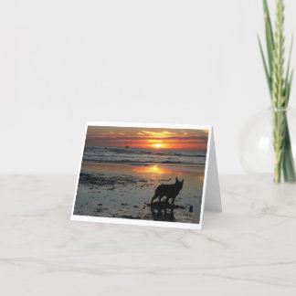 Het Strand van de hond Kaart