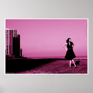 Het strand van Edgewater in 2006 Poster