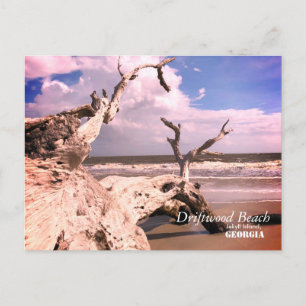 Het Strand van het drijfhout, Jekyll Eiland, Briefkaart