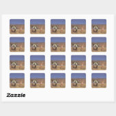 Het strand vierkante sticker (Vel)