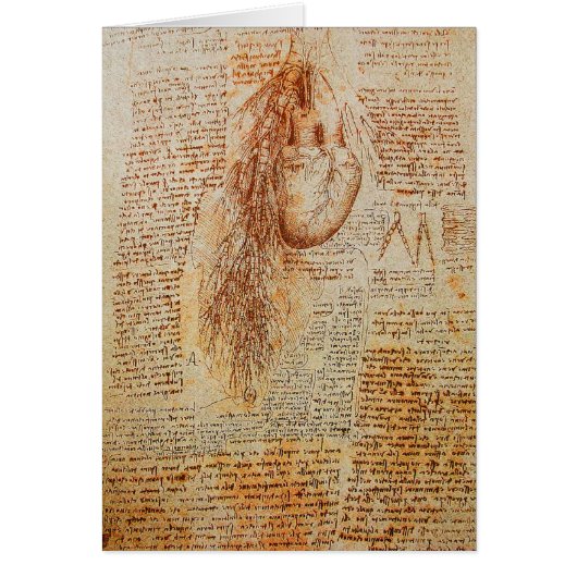 Het stroomgebied van de Hart en de Bronchiale Arte (Voorkant)