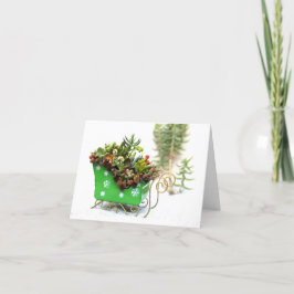 Het succulente Gevulde Wenskaart van de Vakantie Feestdagen Kaart