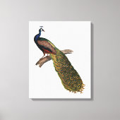 Het symboliek van het volk canvas afdruk (Voorkant)