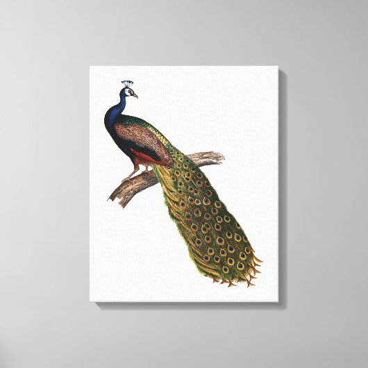 Het symboliek van het volk canvas afdruk (Voorkant)