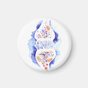 Het synapse en het zenuwimpulscanvas drukken rou a magneet