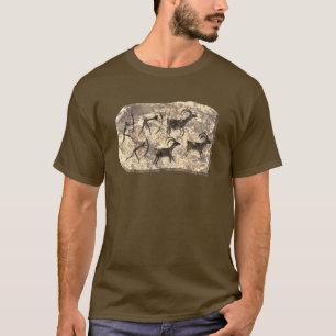 Het T-shirt met de stuntsteen