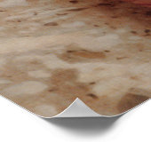 Het Tambourine Girl Poster (Hoek)