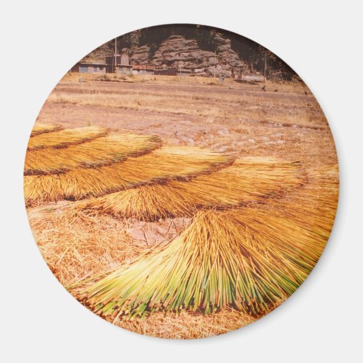 Het Titicacameer Uros Reed Island Magneet (Voorkant)