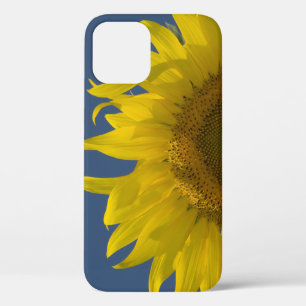 Het Toenemen van de zonnebloem iPhone 12 Hoesje