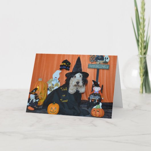 Het Trick or treat van Halloween Kaart (Voorkant)