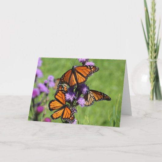 Het Trio van de monarch Kaart (Voorkant)