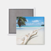 Het tropische paradijs dat de Seychellen is Magneet (Voorkant / Achterkant)