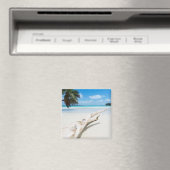 Het tropische paradijs dat de Seychellen is Magneet (Insitu (Vaatwasser))