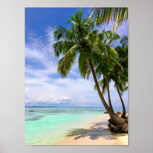 Het tropische Strand van het Eiland van de Palm Poster