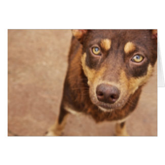 Het uiterlijk van de liefde