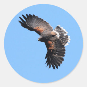 Het uitzicht van bovenaf ronde sticker