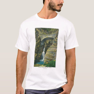 Het Uitzicht van de Brug van de ingang Cascade en T-shirt