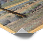 Het Uitzicht van San Jacinto Angel door Palm Trees Poster (Hoek)