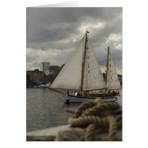 Het Varen van Knotical