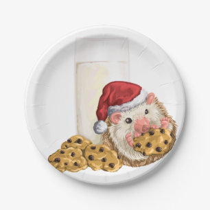 Het Varken van het Koekje van Kerstmis Papieren Bordje