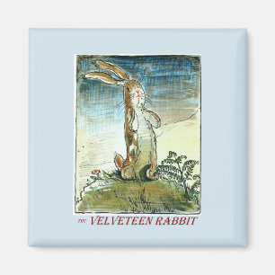 Het Velveteen Rabbit Magnet Magneet