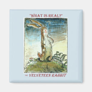 Het Velveteen Rabbit Magnet Magneet