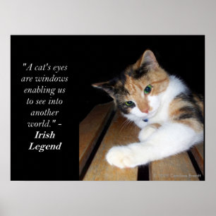 Het venster van katten ogen aan een andere wereld poster