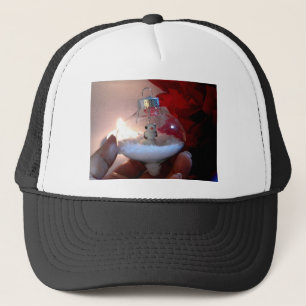 Het verfraaien trucker pet