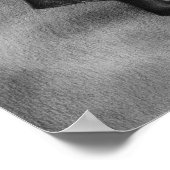 Het vergeten Poster (Hoek)