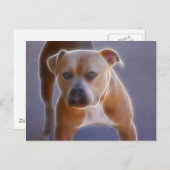 Het verhaal briefkaart (Voorkant / Achterkant)