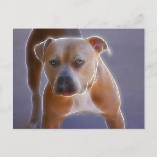 Het verhaal briefkaart (Voorkant)