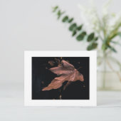 Het "verslagen Blad van de Sycomoor " Briefkaart (Staand voorkant)