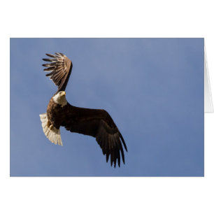 Het vervoeren van de hemel