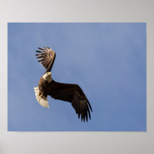 Het vervoeren van de hemel poster