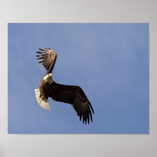 Het vervoeren van de hemel poster (Voorkant)