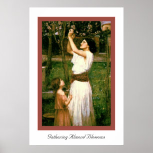 Het verzamelen van Almond Blossom Poster
