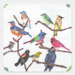 Het verzamelen van kleurrijke zangvogels vierkante sticker