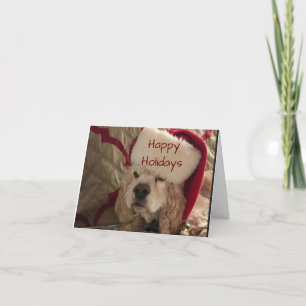 HET VERZENDEN VAN CHRISTMAS WISSEN OVER DE MELEKEN KAART