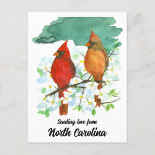 Het verzenden van liefde North Carolina Cardinals Briefkaart