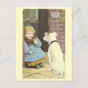 Het Victoriaans Briefkaart van de onuitgezette Vis