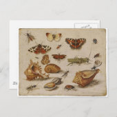 Het vintage Briefkaart van de Natuur (Voorkant / Achterkant)